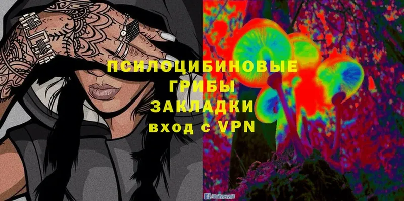 Галлюциногенные грибы Cubensis  Салават 